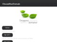 choose-your-domain.com
