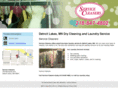 servicecleanersmn.com
