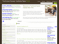 technicalcareerinstitutenewyork.com