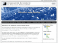 avalanche-research.com