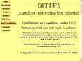 dittes-cavalierer.com