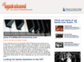 findabandconnecticut.com