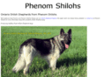 phenomshilohs.com