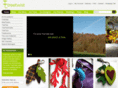 treetwist.co.uk