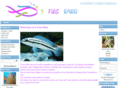 4finsrare.com