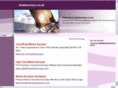 boatsurveys.co.uk
