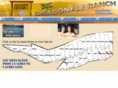 dragonflyranchmo.com