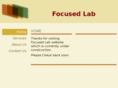 focusedlab.com