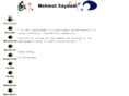 saydam.net