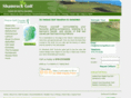 shamrockgolftours.com