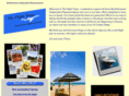 theflightteam.com