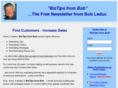 biztipsletter.com