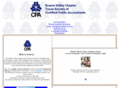bvcpa.org
