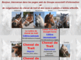 chevaux-de-trait.com