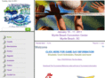 grandstrandvolleyballclassic.com