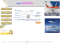 viajesrosaluz.com