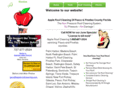 appleroofcleaning.com