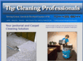 cleaningprofessionalsnc.com