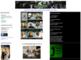 mavericksvolleyball.com