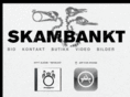 skambankt.com