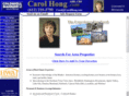 carolhong.com