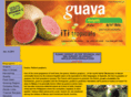 guavapuree.com