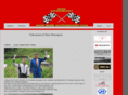 skeie-motorsport.com