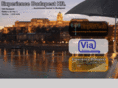 experiencebudapest.com