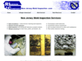 newjerseymoldinspection.com