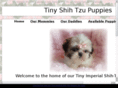 tinyshihtzupuppies.com