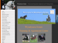 wyndyarraestate.com