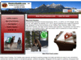 bearproofpanniers.com
