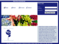 bellarosainternational.com