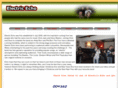 electricecho.co.uk