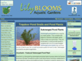 lilyblooms.com