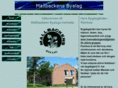 mallbackensbyalag.com