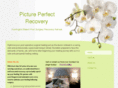 pictureperfectrecovery.com