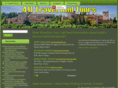 411travelandtours.com