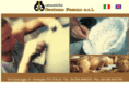 ceramichegaetanofasano.it