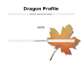 dragonprofile.com