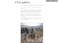 ictusgallery.com