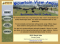 mountainviewangus.com