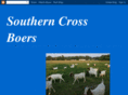 southerncrossboers.com