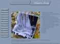 drapedinjewelry.com