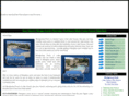 havasufiberglasspools.com