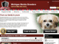 michiganmorkiebreeders.com