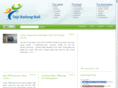 bailongball.com