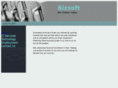 bizsoftsystems.com