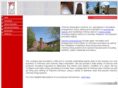 chimneyrestoration.net
