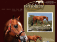 onholidayqh.com